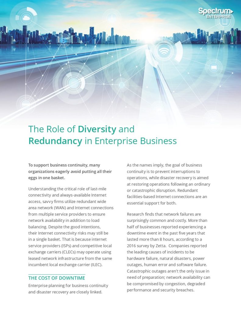 The Role Of Diversity And Redundancy In Enterprise Business