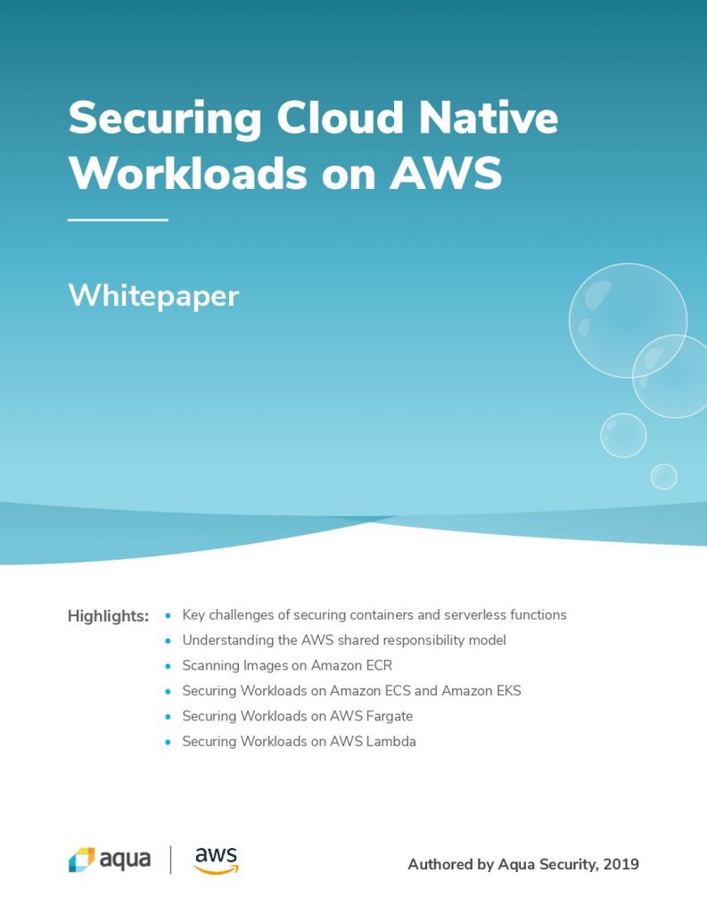 Securing Cloud on Workloads Native AWS