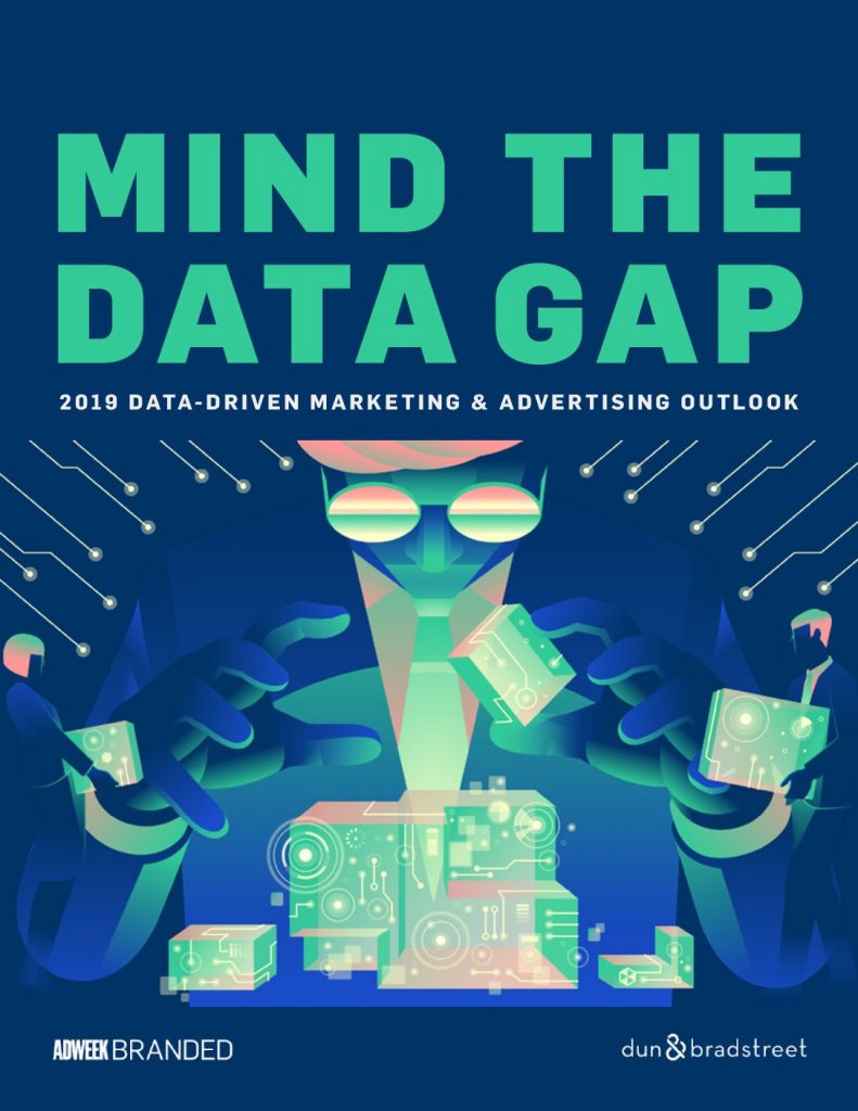 Mind the Data Gap: 2019 Data-Driven Marketing & Advertising Outlook
