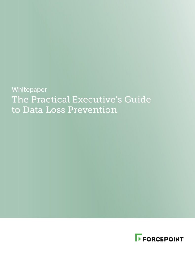 The Practical Executive’s Guide to the Data Loss Prevention