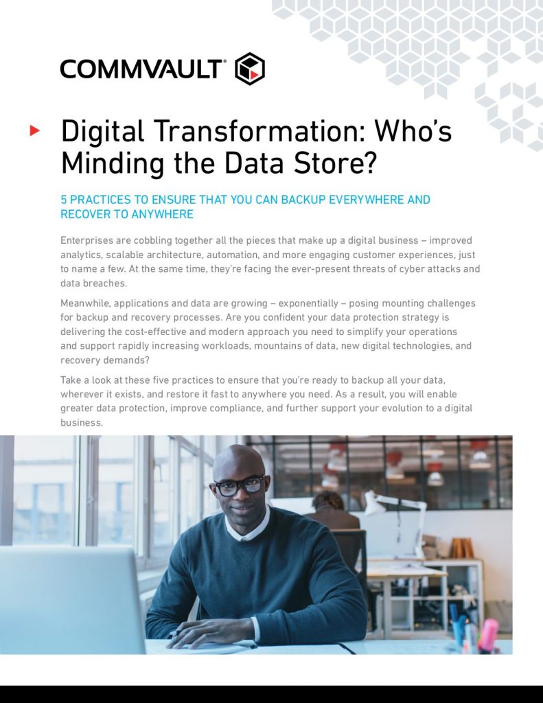 Recovery Readiness: Digital-Transformation Whos Minding The Data Store