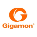 Gigamon.com